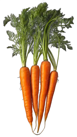 Imagen PNG para descargar